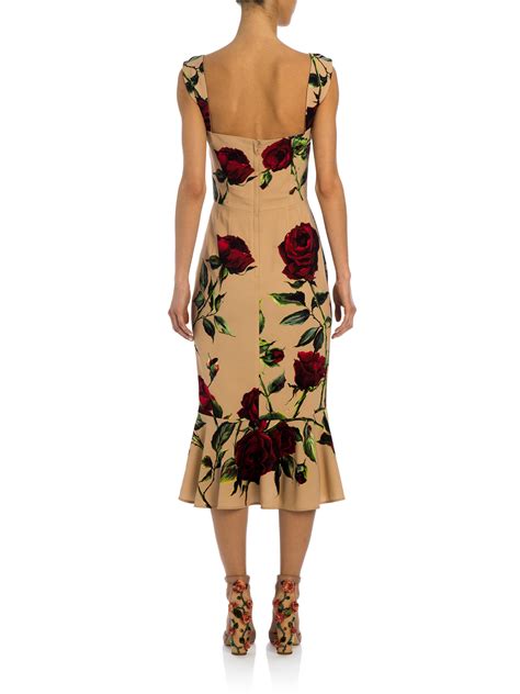 Dolce & Gabbana rose print dress